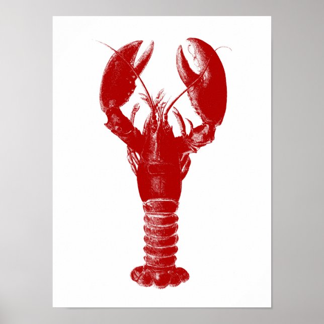 Poster Lagosta Vermelha Profunda em Branco (Frente)
