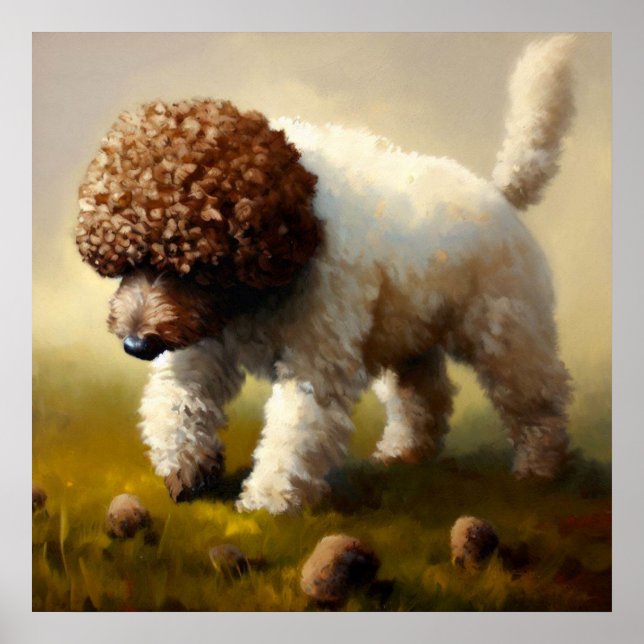 Poster Lagotto Romagnolo Dog (Frente)