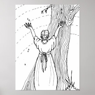 Poster - Lágrimas de captura