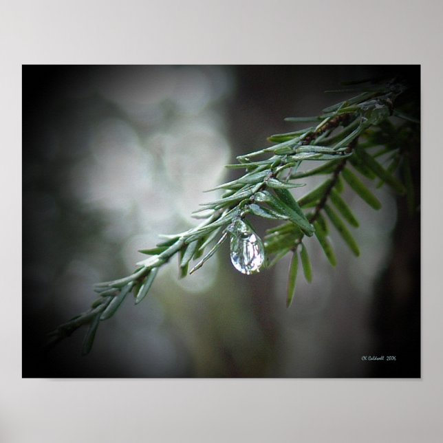 Póster Lágrimas de Hemlock (Frente)