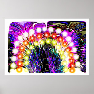 Poster Lágrimas de um anjo