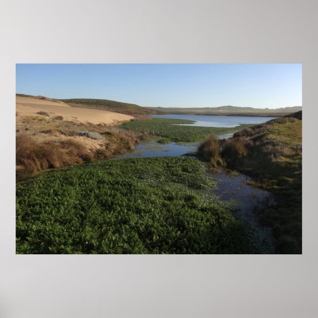 Poster Laguna Abbotts I no Point Reyes National Seashore (Frente)