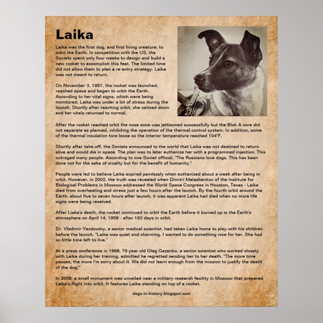 Poster Laika, o primeiro cachorro no espaço (Frente)