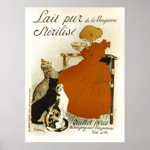 Poster Lait Pur Esterilize Gatos Vintage Publicidade Fran