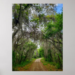 Poster Lake Apopka Loop Trail, Flórida