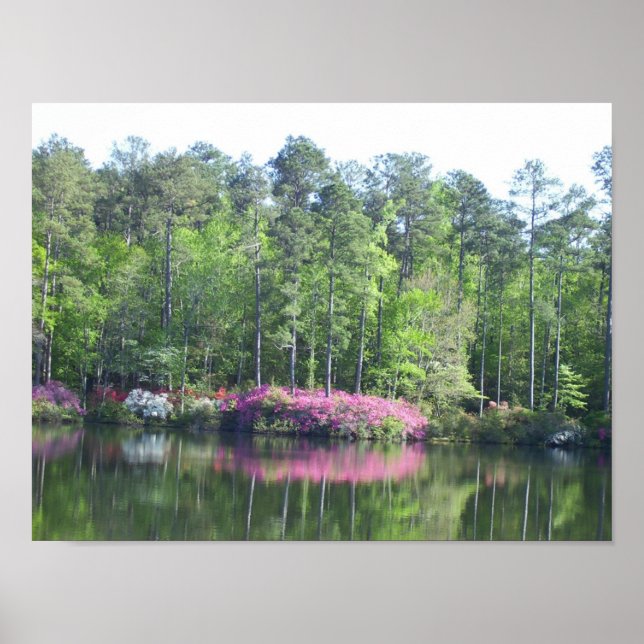 Poster Lake View (Frente)