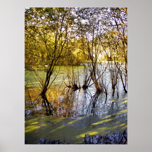 PÓSTER LAKES (Frente)