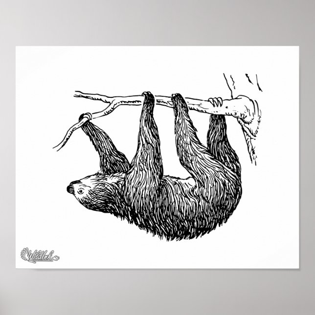Poster Lama (Frente)