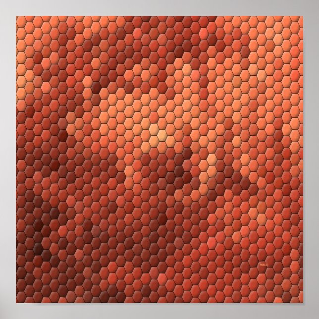 Poster Lama... (Frente)