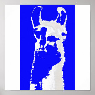 Póster Lama azul