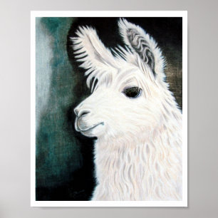 Póster Lama branco