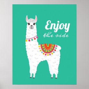 Poster Lama de drama funky alpaca