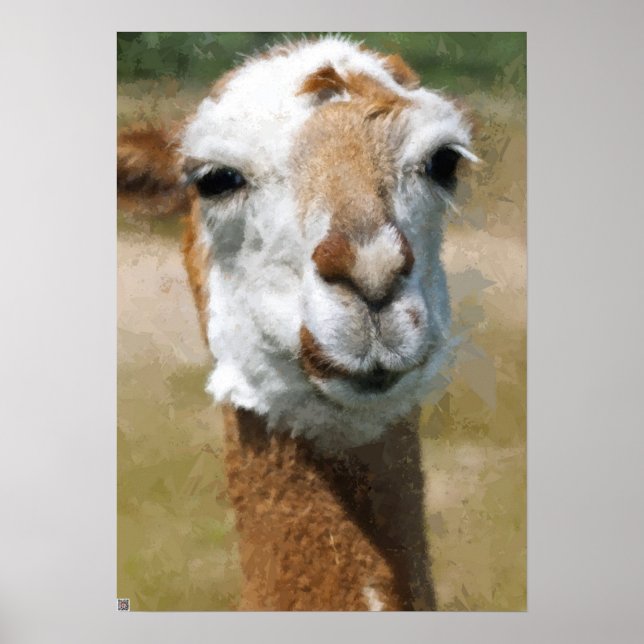 Póster Lama Feliz, Efeito Pintura (Frente)