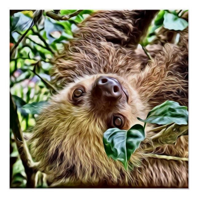 Póster Lama pintada (Frente)