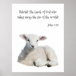 Poster Lamb de Deus