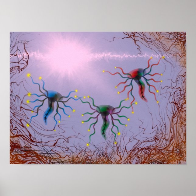 Poster Laminate (Frente)