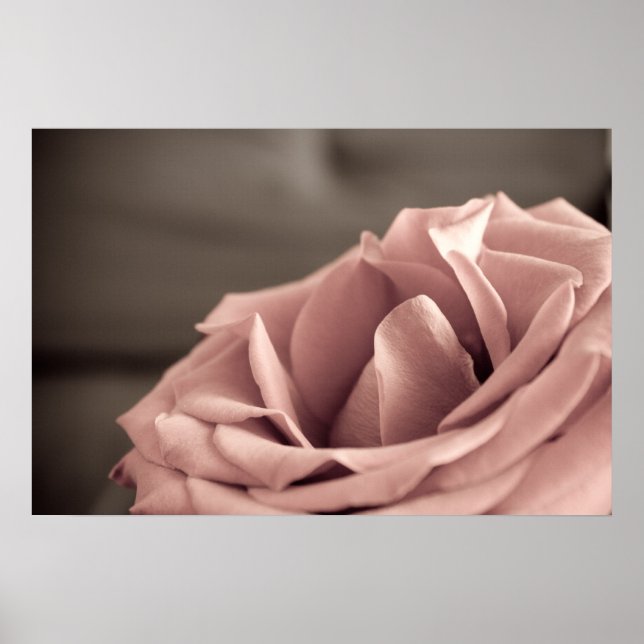 Póster Lâmpada (Frente)