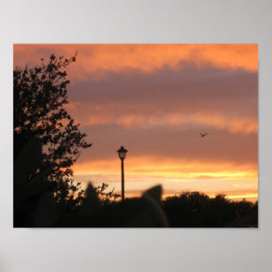 Póster Lâmpada Postada e pássaro