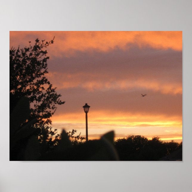 Póster Lâmpada Postada e pássaro (Frente)