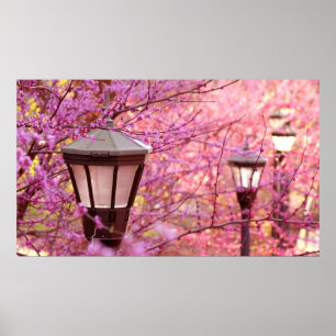 Poster Lâmpadas de UVA