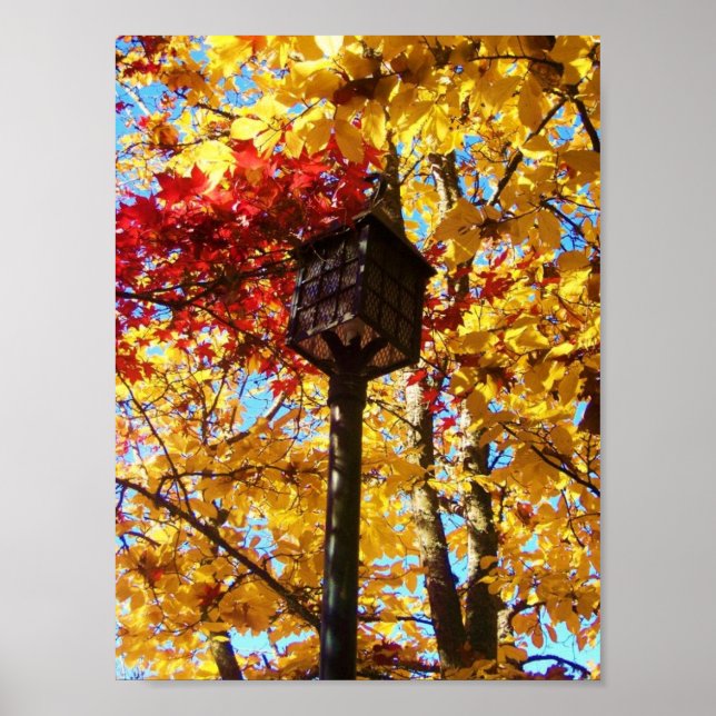 Póster Lamppost (Frente)