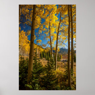 Poster Landscape in San Juan Mountains