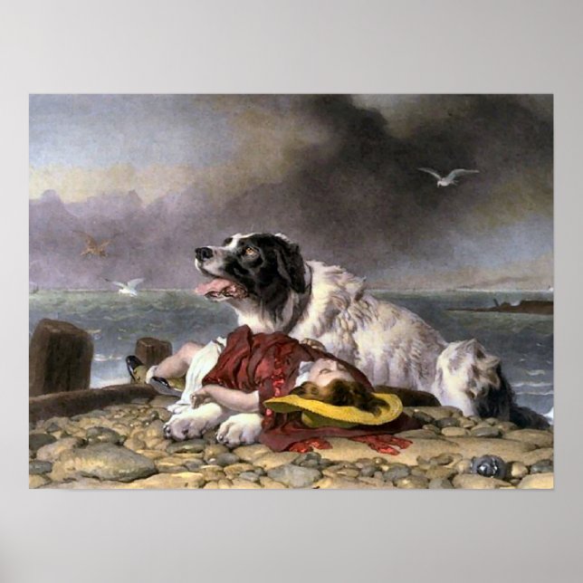 Póster Landseer Saved (Frente)
