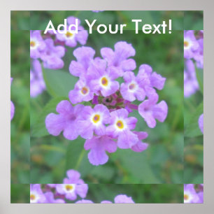 Poster Lantana Plant Purple Floral
