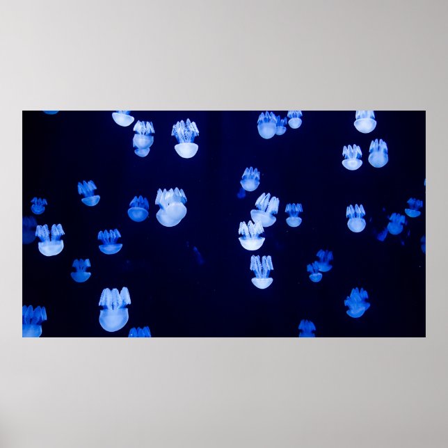 POSTER LANTERNS LIGADOS (Frente)