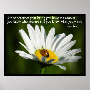Poster Lao Tzu Cita Ladybug Daisy Inspiration Motivação