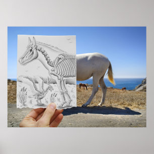 Poster Lápis contra a câmera - raio X