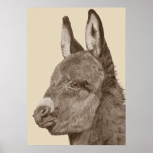Póster lápis de lápis, desenho de burro giro