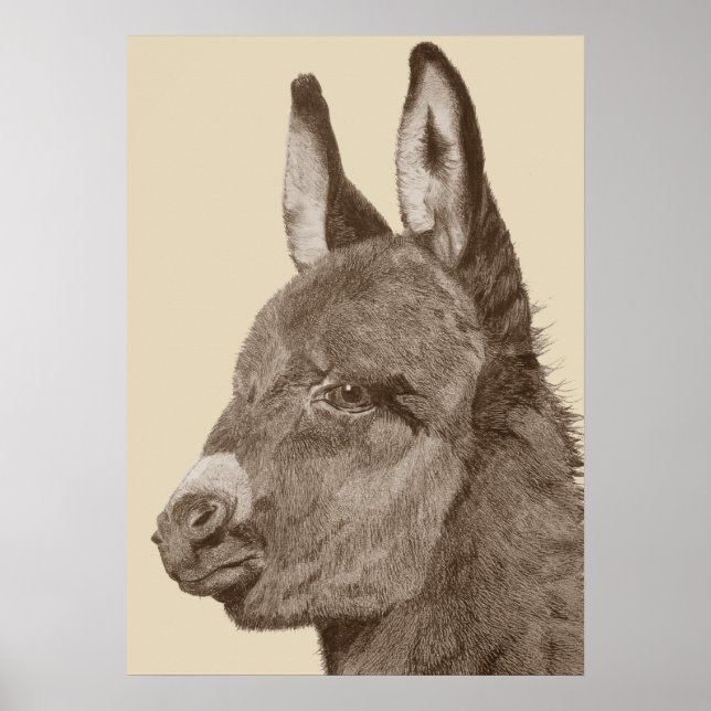 Póster lápis de lápis, desenho de burro giro (Frente)