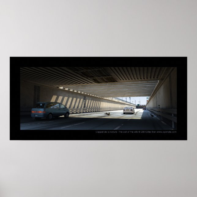 Póster L'appel de la nature - O chamado da natureza selva (Frente)