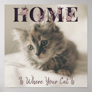 Poster Lar É Onde Está O Seu Gato