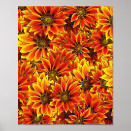 Poster Laranja