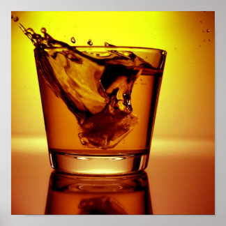 Póster Laranja cocktail