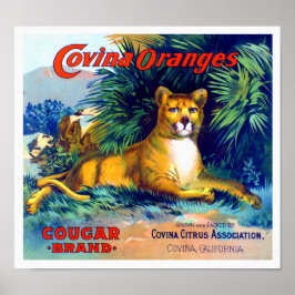 Poster Laranja Covina Marca Cougar Etiqueta de Caixa de F