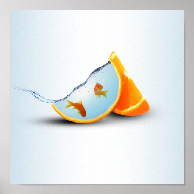 Poster Laranja e Peixe Vermelho (Frente)