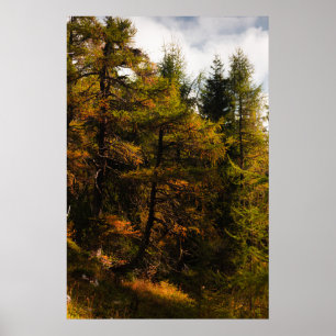 Poster Laranja europeia ouro em cores do outono