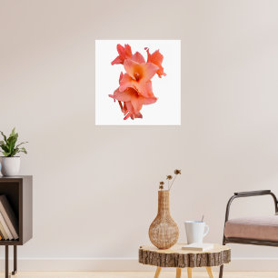 Poster Laranja Gladiolus Floral