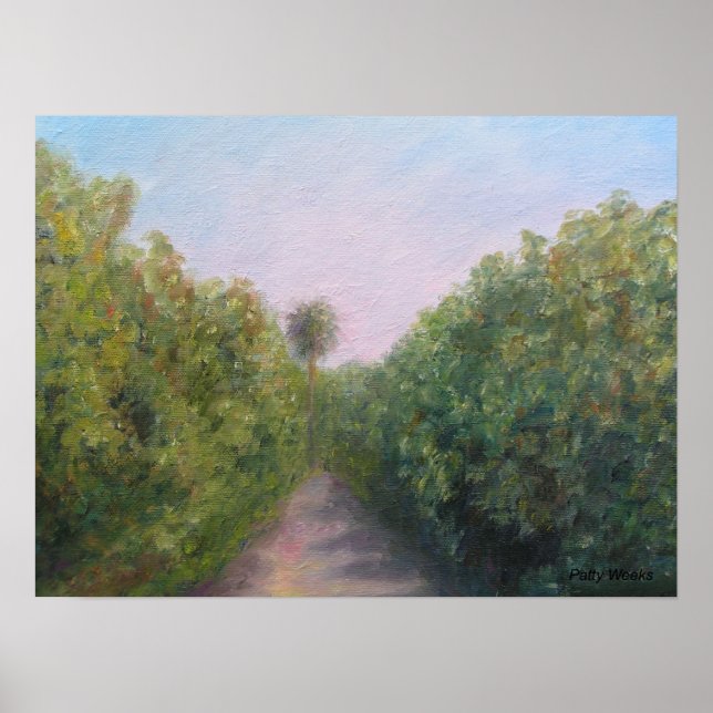 POSTER LARANJA GROVE EM CITRA, FLÓRIDA (Frente)