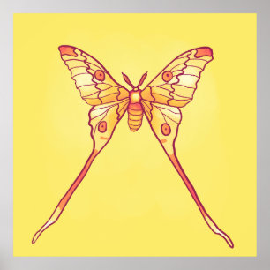 Poster Laranja Luna Moth Art - Inseto Colorido