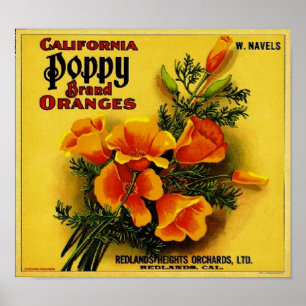 Póster Laranjas da papoila de Califórnia do vintage