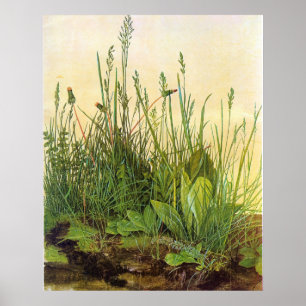 Poster Large Turf - Albrecht Durer - c1503