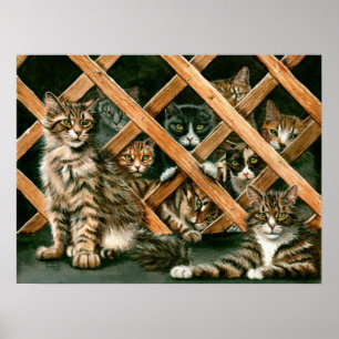 Poster Latice Cats Poster, tuxedos kmcoriginals da tabby