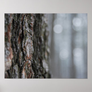 Poster Latido da árvore