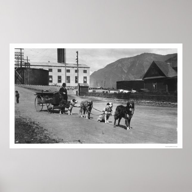 Poster Laundry Team Alaska 1904 (Frente)
