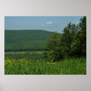 Póster Laurel Highlands Pennsylvania Summer Photoics
