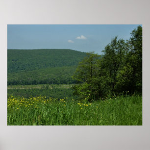Póster Laurel Highlands Pennsylvania Summer Photoics
